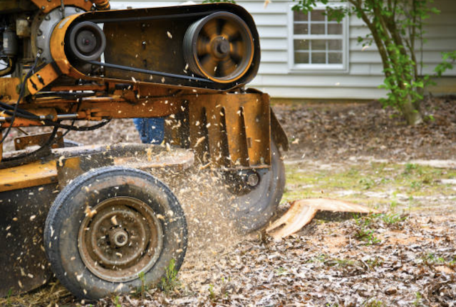 stump removal in Coppock