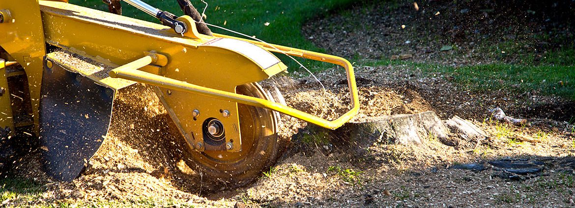 IA Stump Removal